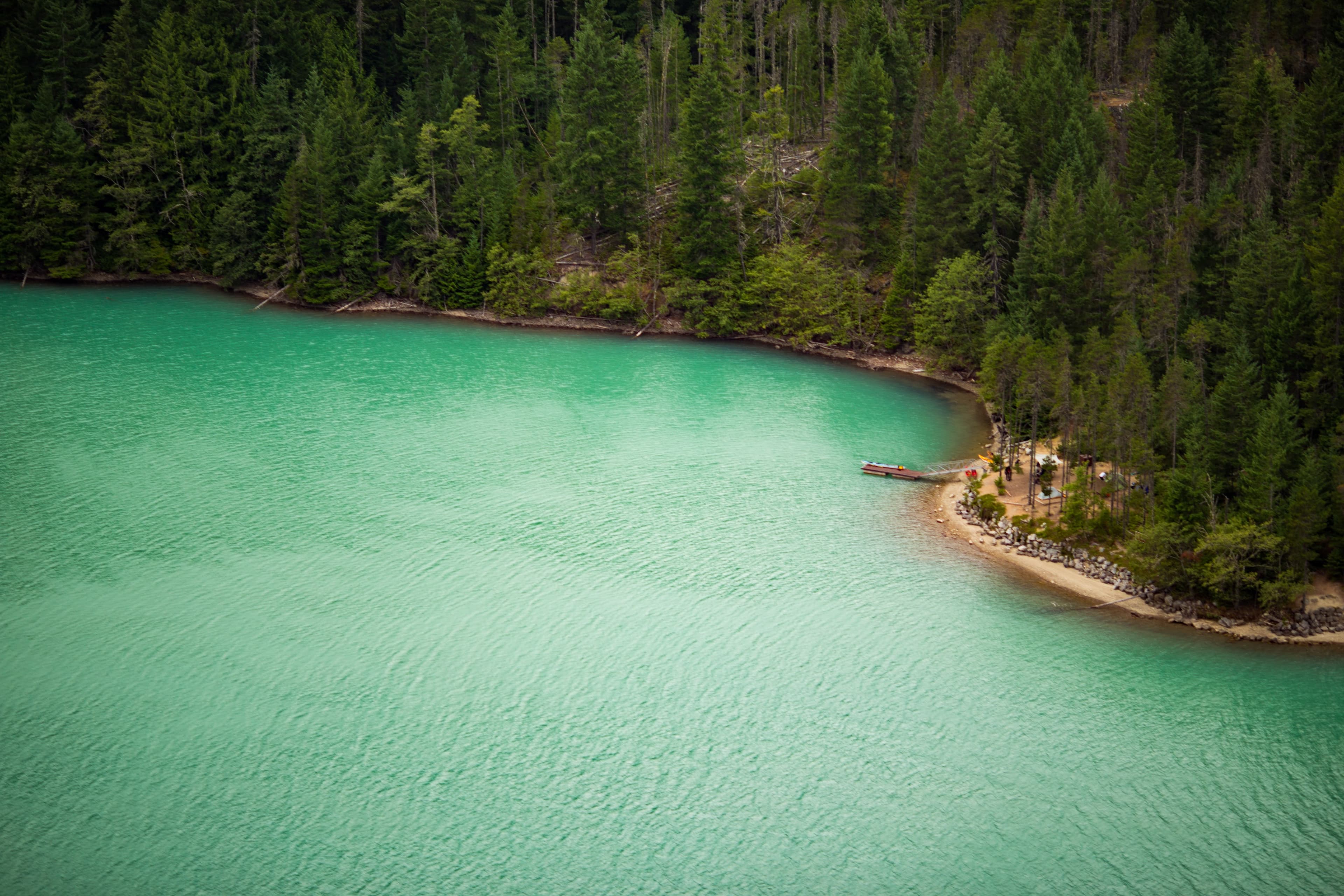 beautiful-seashore-thick-forest.jpg